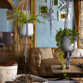 Décoration du salon du Courcheneige avec plantes et canapé en cuir marron
